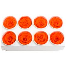 Ruža preparovaná v oranžovej farbe, 5 cm, balenie po 8 kusoch.