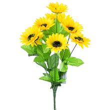 Kytica slnečníc s jasne žltými kvetmi a zelenými listami.