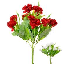 Kytica karafiátov v červenej a bielej farbe.