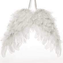 Biele krídla z peria