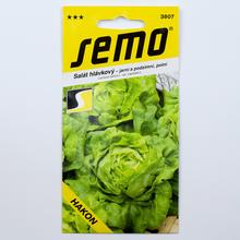 Semená hlávkového šalátu Hakon od SEMO.
