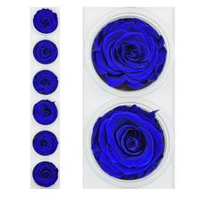 Ruža preparovaná v oceánovej modrej farbe, priemer 6,5 cm.