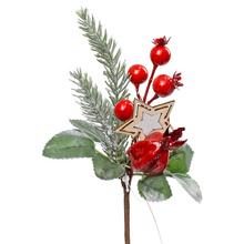 Zápich šípky s hviezdou a červenými bobuľami.