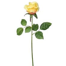 Umelá ruža v svetlooranžovej farbe s dlhým stonkom.