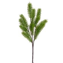 Konár čečiny sviežej zelenej farby s dĺžkou 45 cm.