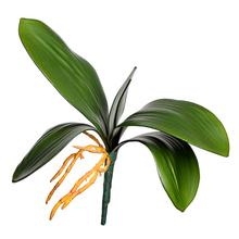 Zápich list orchidea 27 cm