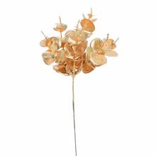 Zápich zeleň eukalyptus zlatý 22cm