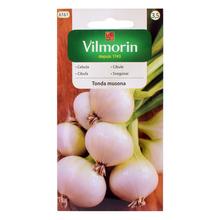 Semená cibule Tonda Musona 2g