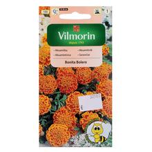 Semená akasamitnica rozložitá Bonita Bolero 1g