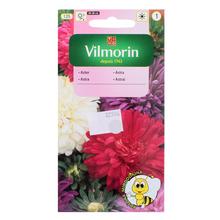 Semená astrovky čínskej v balení 1g.