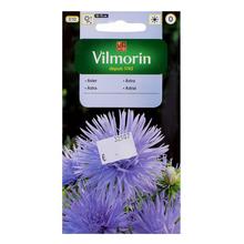 Semená astrovky čínskej Agnieszka 0,5g