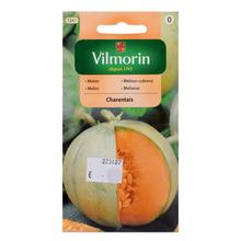 Obal semien melónu cukrového Charentais.