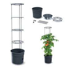 Kvetináč na pestovanie rajčín s podperou.