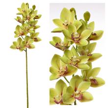 Umelá orchidea Cymbidium v zelenej farbe, 74 cm.