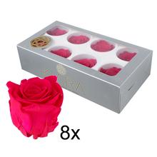 Ruža preparovaná v hot pink farbe, balenie obsahuje 8 kusov.