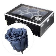 Ruža preparovaná SMOKEY GREY v balení.