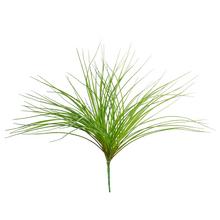 Zelený zápich trávy s dĺžkou 48 cm.