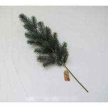 Konár čečiny s dĺžkou 65 cm.