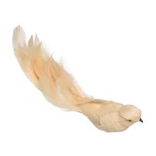 Béžový vtáčik so zamatom a perím.