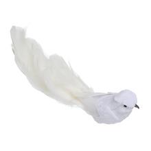 Biely vtáčik so zamatom a perím.