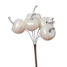 Umelé biele jabĺčka na zápich.