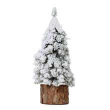 Zasnežený vianočný stromček na pníku.