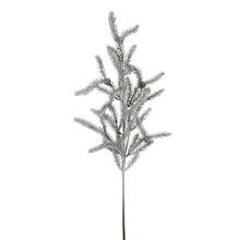 Osnežený konár čečiny s dĺžkou 68 cm.