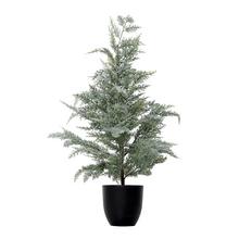 Zasnežený stromček v čiernom kvetináči.