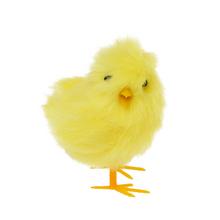 Žlté kuriatko s jemným chlpom, 7 cm vysoké.