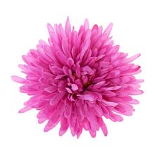 Umelá chryzantéma ružová s priemerom 16 cm.