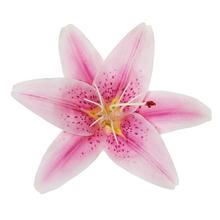 Umelá hlava ľalie fialovej s priemerom 12 cm.