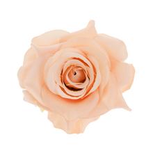 Umelá ruža v broskyňovej farbe, priemer 10 cm.