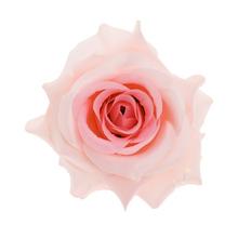 Umelá ruža v ružovej farbe, priemer 10 cm.