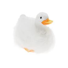 Biela kačka s oranžovým zobákom