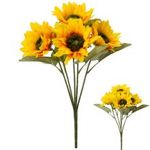 Kytica slnečníc s piatimi kvetmi v mixe.