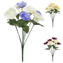 Kytica anemónie mix s rôznymi farbami.