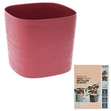 Štvorcový obal Capri v červenej farbe vyrobený z recyklovanej plastu.