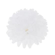 Biela hlava chryzantémy s priemerom 10 cm.