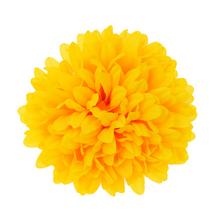 Žltá hlava chryzantémy s priemerom 12 cm.
