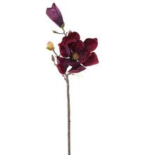 Umelá magnólia v bordovej farbe s výškou 58 cm.