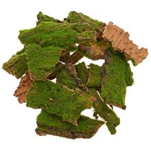 Kôra s machom, sušený aranžérsky materiál.