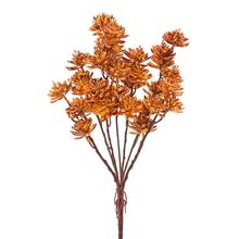 Umelý zápich so sukulentmi v žlto-bordovej farbe.