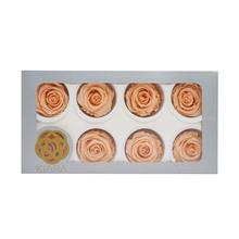 Ruža preparovaná CANTALOUPE v balení po 8 kusoch.