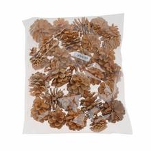 Sušené šišky Pinus niger v balení 0,5 kg.