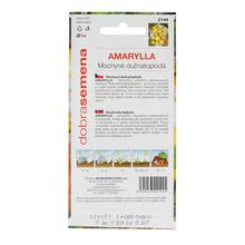 Semená amarylla v balení 0,2g.