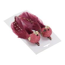 Malinové vtáčiky na štipci