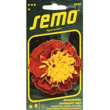 Semená akasamitníc Harmony Boy od SEMO.