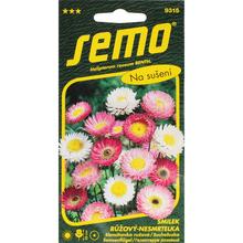 Semená slamihovky ružová zmes 0,50g.