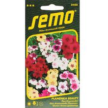 Semená kvetov Flox Beauty Zmes 0,3g