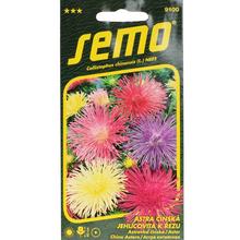 Semená Aster Čínskej Electric Zmes 0,5g